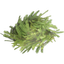 FICSMAS Tree Branch