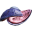Hatcher Remains