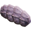 Hog Remains