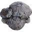 Mycelia