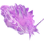Purple Power Slug